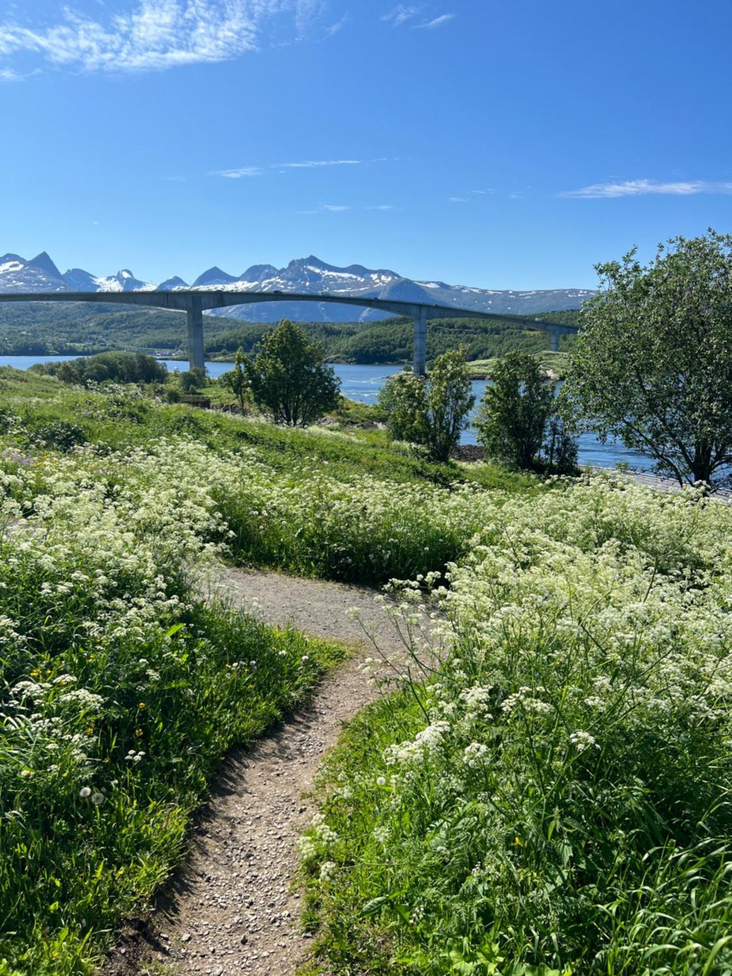 Saltstraumen Hotels Hytter Knapplund 외부 사진