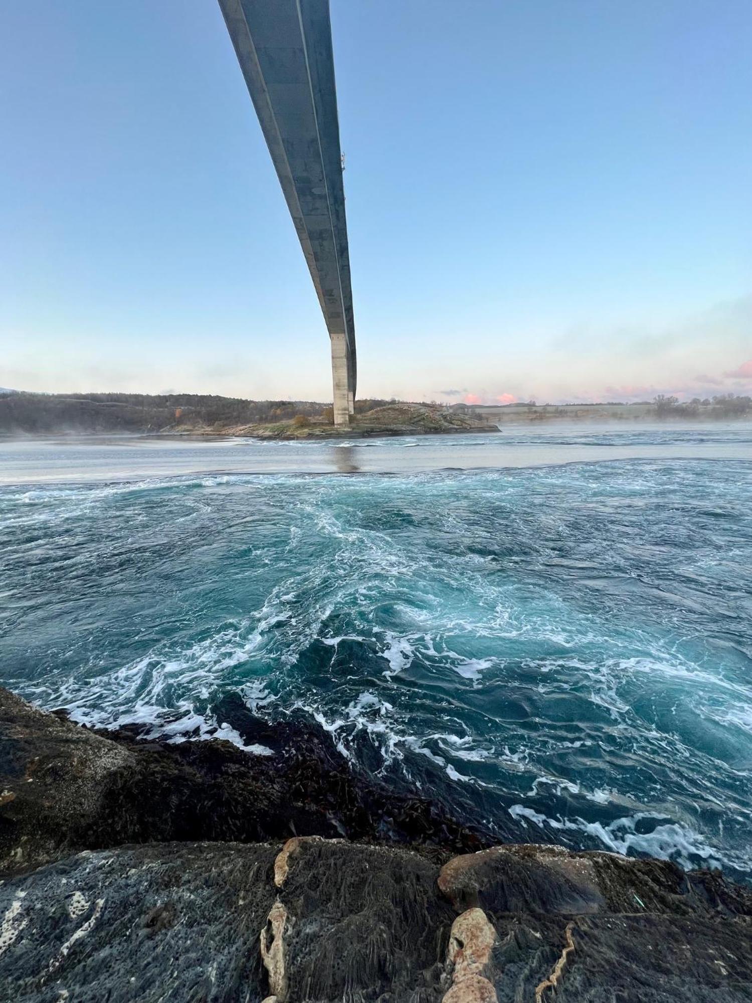 Saltstraumen Hotels Hytter Knapplund 외부 사진